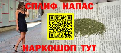 шишки Берёзовский