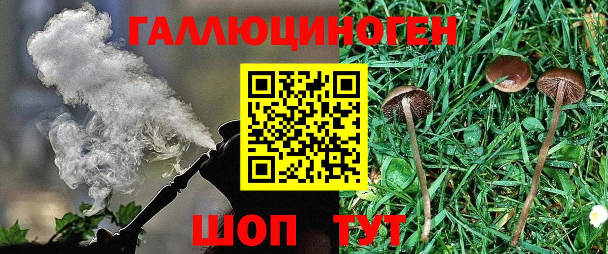 Белая Калитва  Псилоцибиновые грибы прущие грибы  купить   Вход с VPN 